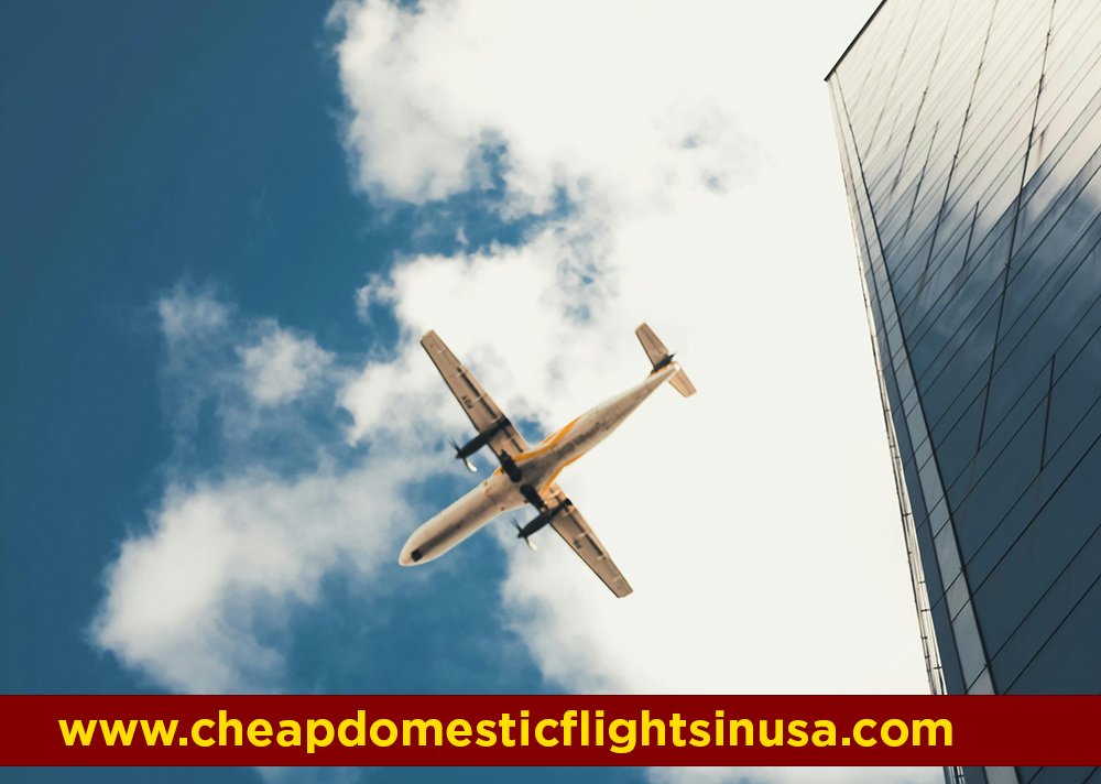How Airline Loyalty Programs Changed Travel?